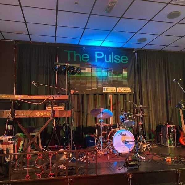 The Pulse ( Wedding and Corporate band ) Gallery 0