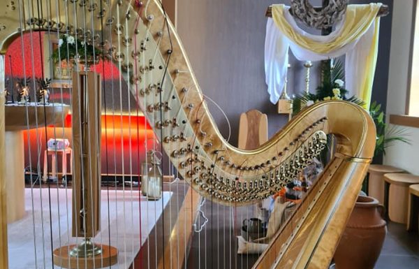 Ramona Harpist Gallery 0