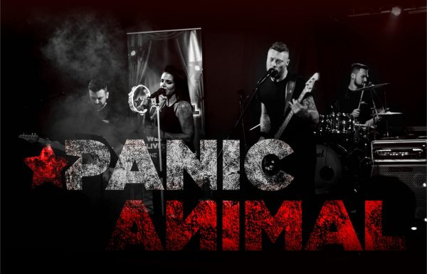 Panic Animal Gallery 1