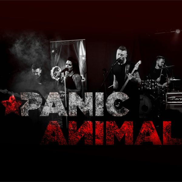 Panic Animal Gallery 1