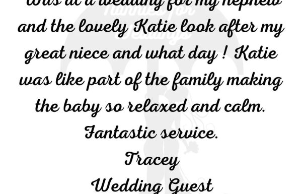 Nannies For Weddings Gallery 9