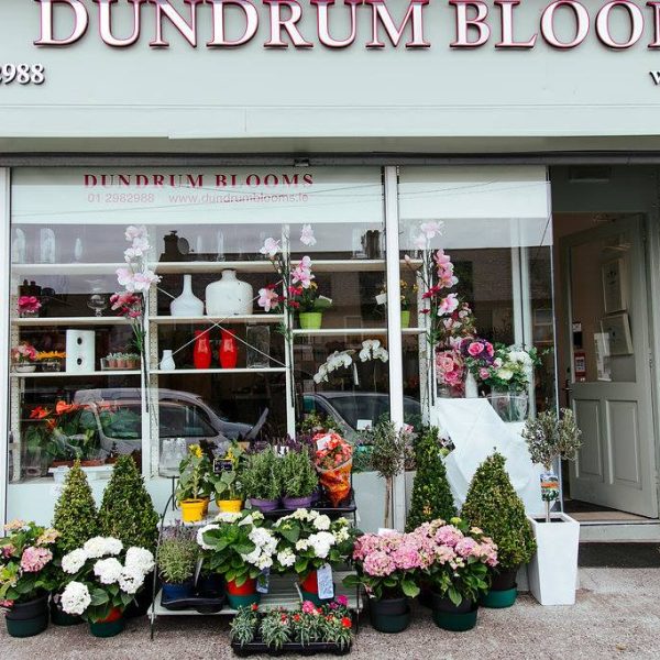 Dundrum Blooms Gallery 8