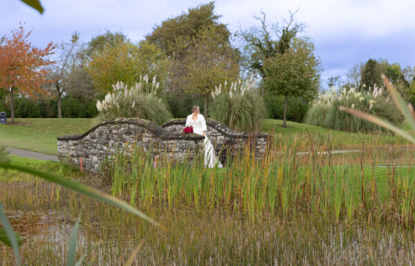 Venue Category Vendor Gallery Roganstown Hotel