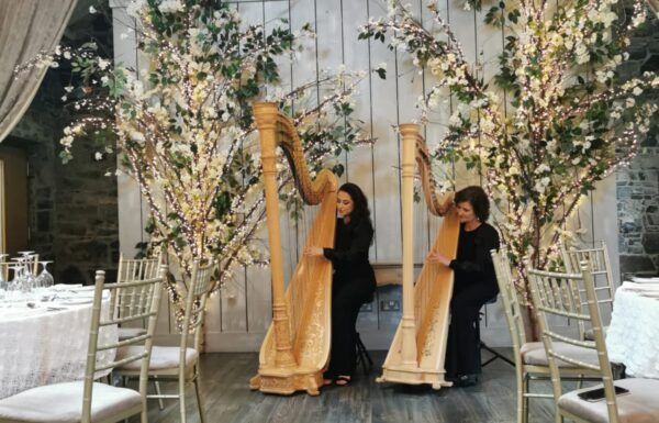 Harp Duets Gallery 4