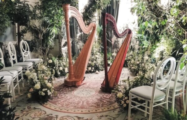 Harp Duets Gallery 11