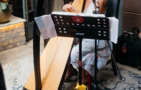 Sinead Walshe Harpist and Singer Gallery 3