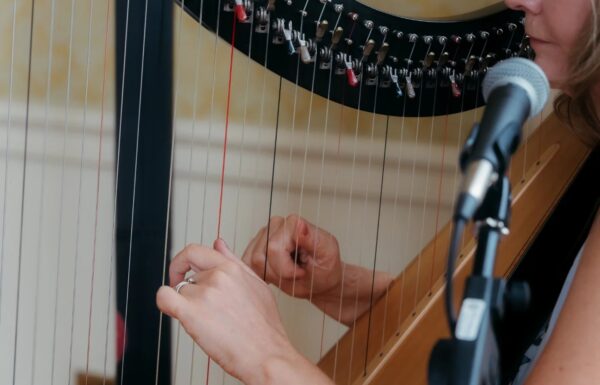 Sinead Walshe Harpist and Singer Gallery 8