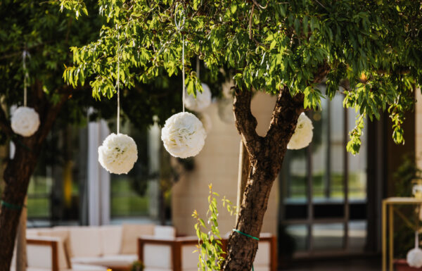 Xara Catering Gallery 18