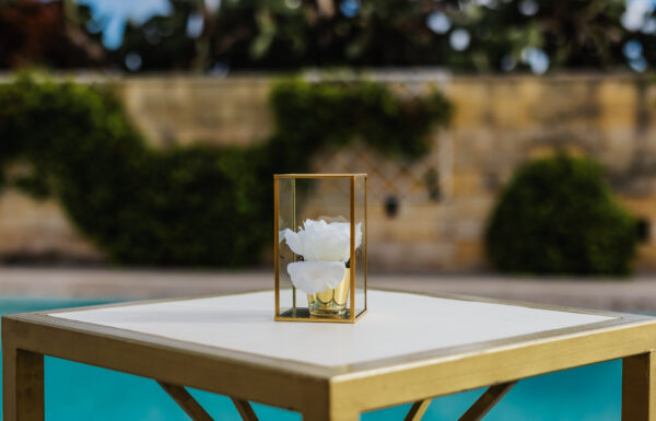 Xara Catering Gallery 16