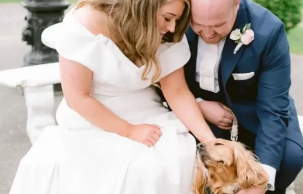 PETiGO Weddings by Melissa, The Wedding Dog Sitter Gallery 11