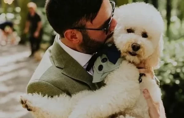 PETiGO Weddings by Melissa, The Wedding Dog Sitter Gallery 16