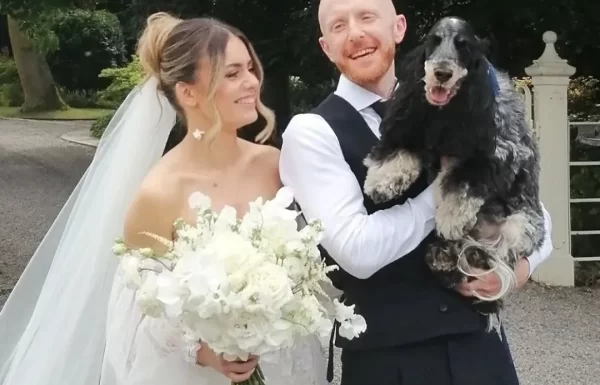 PETiGO Weddings by Melissa, The Wedding Dog Sitter Gallery 6