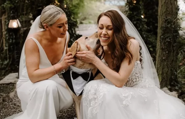 PETiGO Weddings by Melissa, The Wedding Dog Sitter Gallery 4