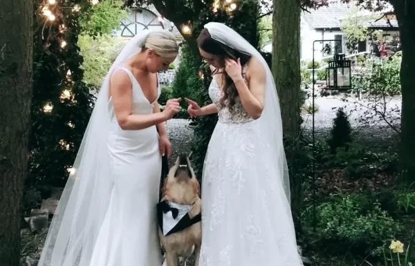 PETiGO Weddings by Melissa, The Wedding Dog Sitter Gallery 7