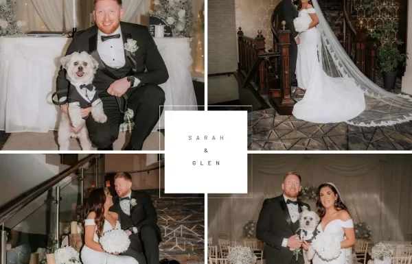 PETiGO Weddings by Melissa, The Wedding Dog Sitter Gallery 9