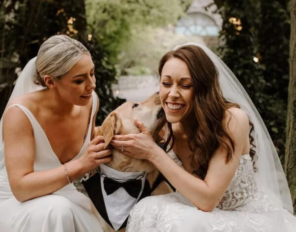 Childcare & Petcare Services Listing Category PETiGO Weddings by Melissa, The Wedding Dog Sitter
