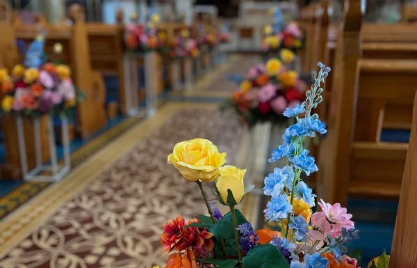 Flowers Category Vendor Gallery Anna Foy Beyond the Door