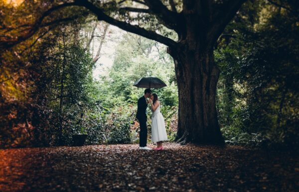 Nathan Burke Photography & Design Gallery 22