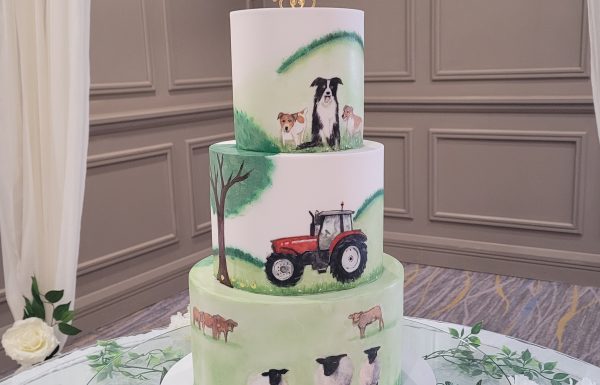 D’s Cakes Gallery 2
