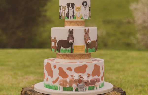 D’s Cakes Gallery 10