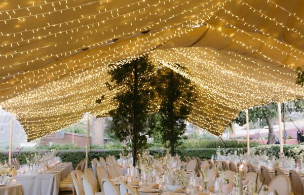 Purelove – Wedding Planners Gallery 7