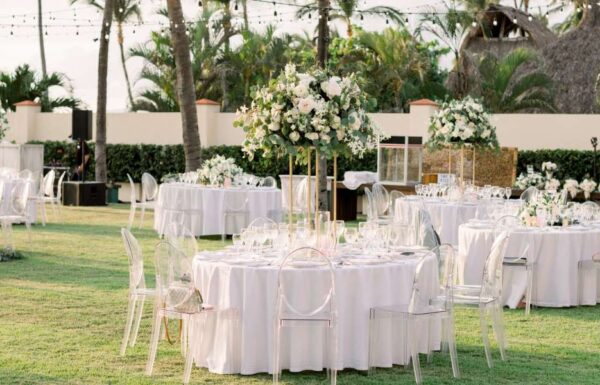 Velas Resorts Gallery 12