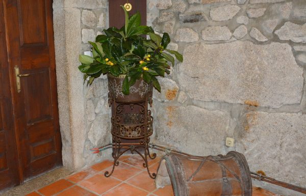 Castle of Santa Marta de Portuzelo Gallery 29