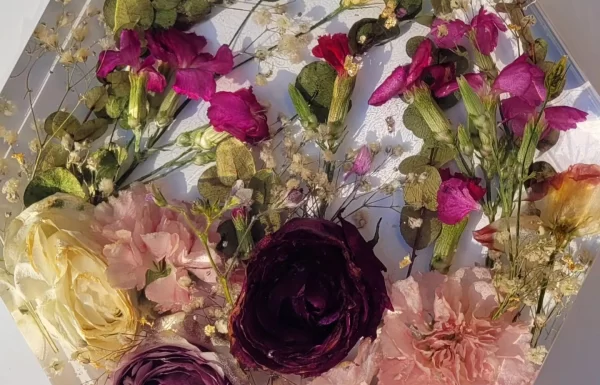 FlowerCast.ie Gallery 2