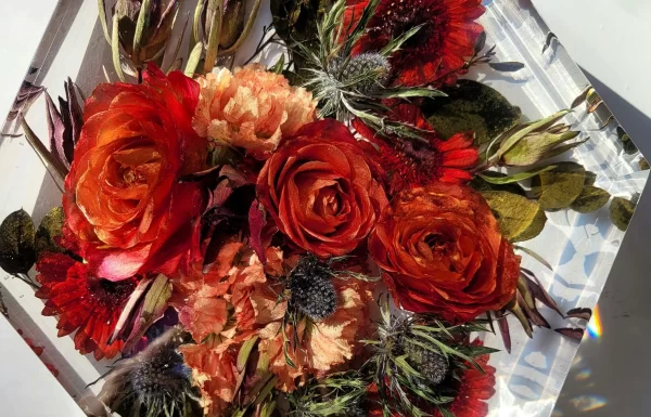 FlowerCast.ie Gallery 3