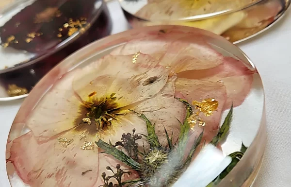 FlowerCast.ie Gallery 5