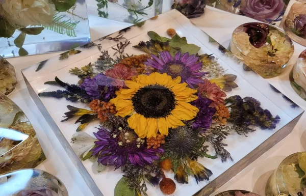 FlowerCast.ie Gallery 6