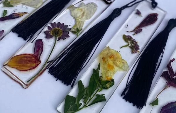 FlowerCast.ie Gallery 9