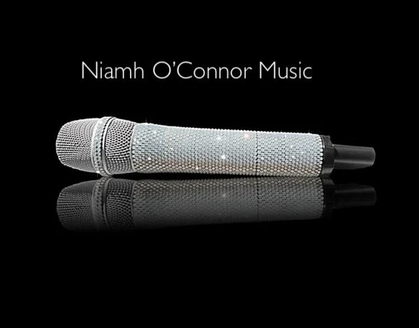 Ceremony & Drinks Reception Music Listing Category Niamh O’Connor Music