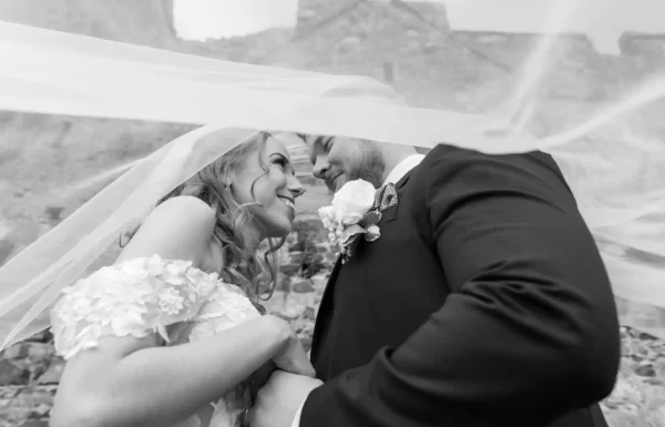 Sky Lark Fotos Gallery 3