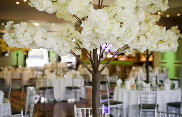 Kenmare Bay Hotel & Resort Gallery 15