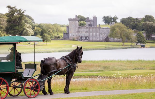 The Inn at Dromoland Gallery 7