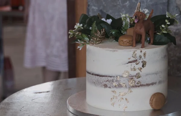 Reel Irish Wedding Gallery 18