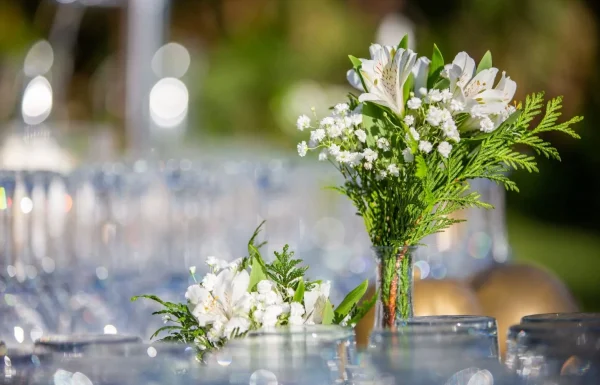 Mys Eventos Gallery 12