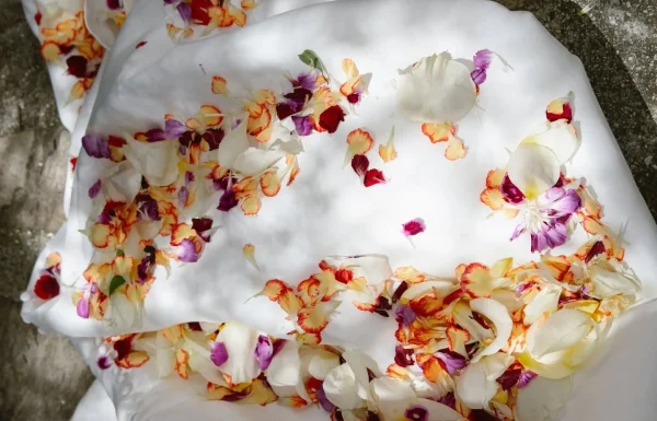 Mys Eventos Gallery 10