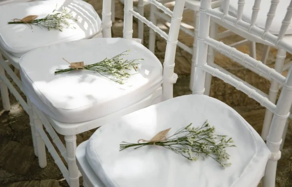 Mys Eventos Gallery 8