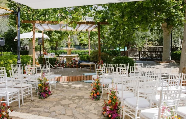 Mys Eventos Gallery 7