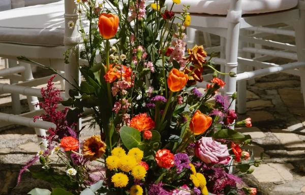 Mys Eventos Gallery 4