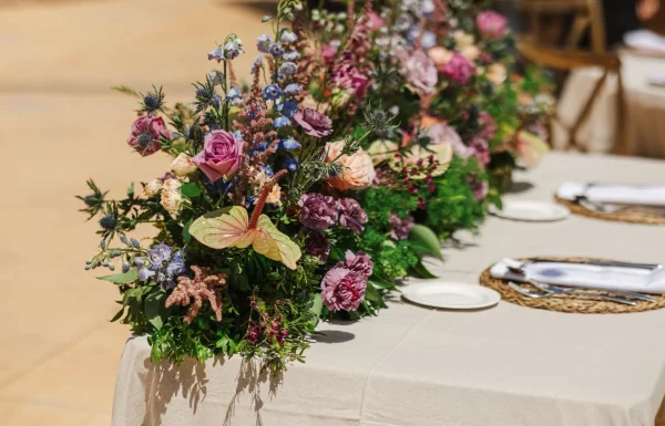 Mys Eventos Gallery 20