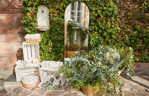 Mys Eventos Gallery 19