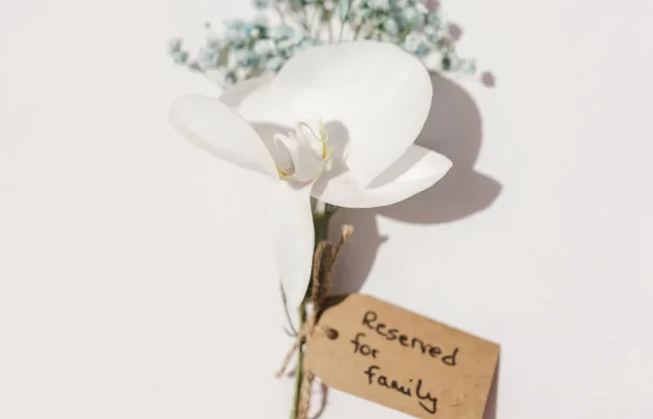 Mys Eventos Gallery 17