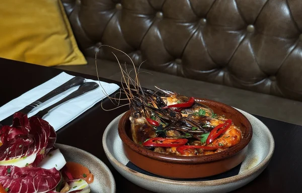 The Legal Eagle Gallery 12