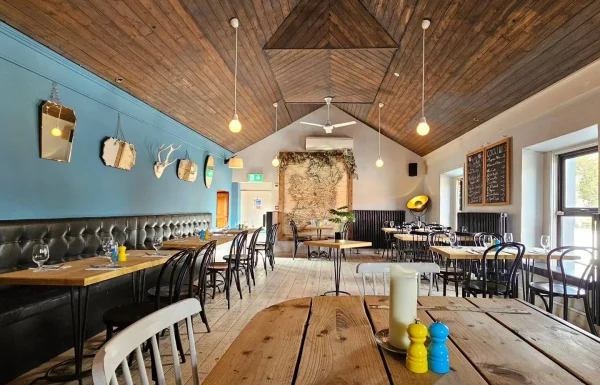 The Washerwoman Gallery 1